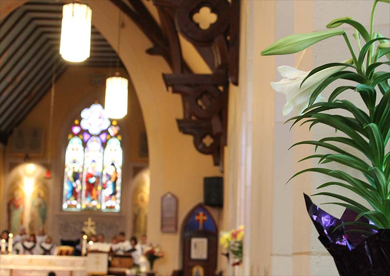 Chancel guild adorned nave with beautiful Easter lilies in memory of loved ones.